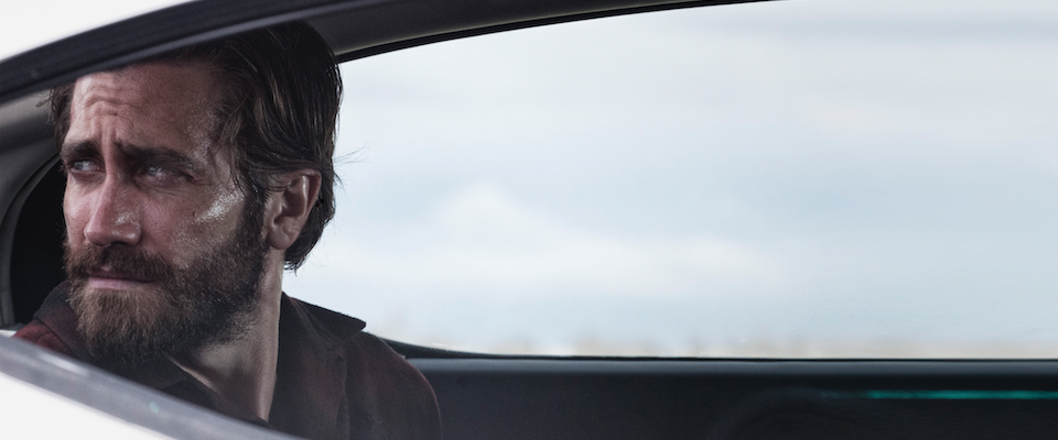Nocturnal Gyllenhaal
