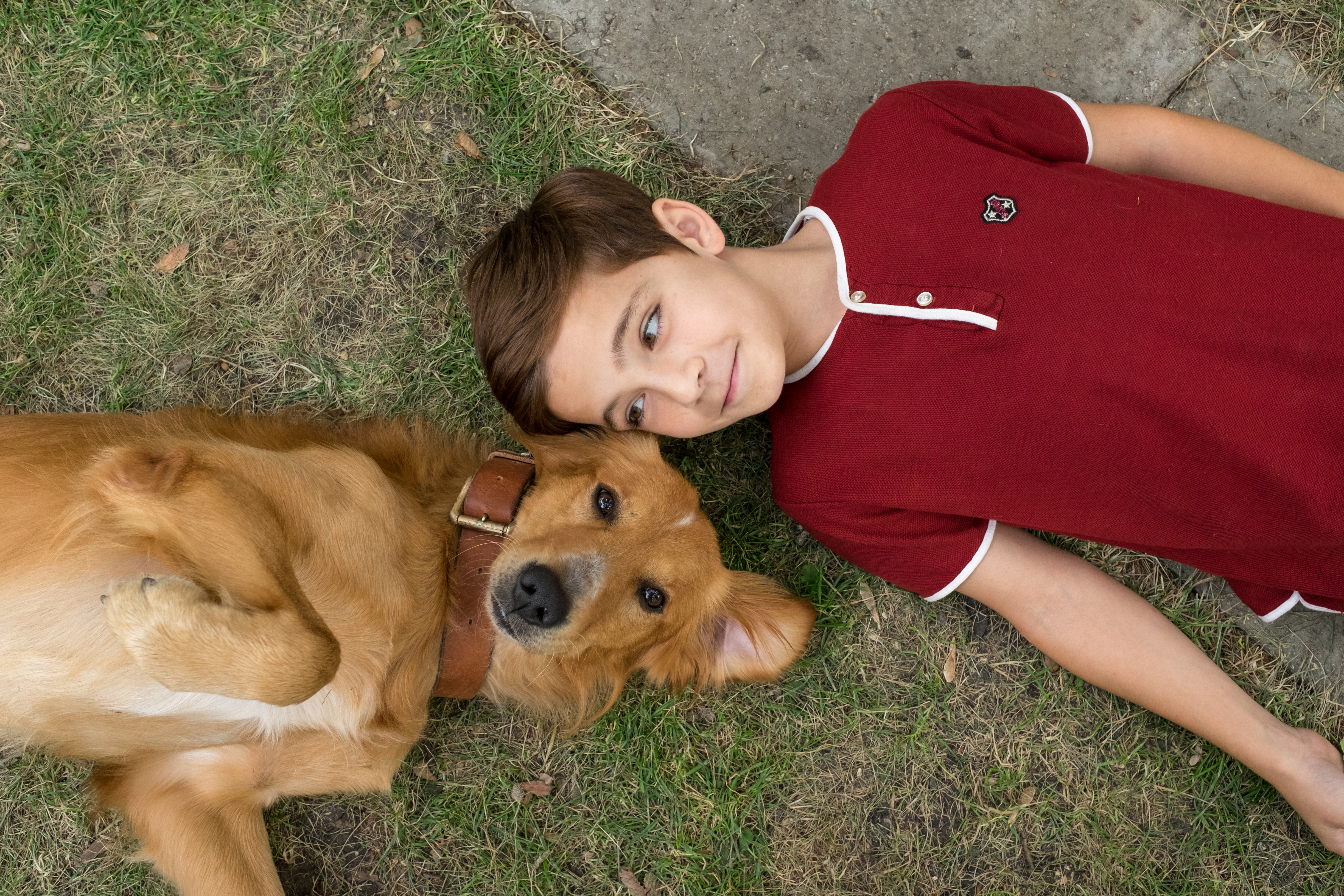 A DOG'S PURPOSE