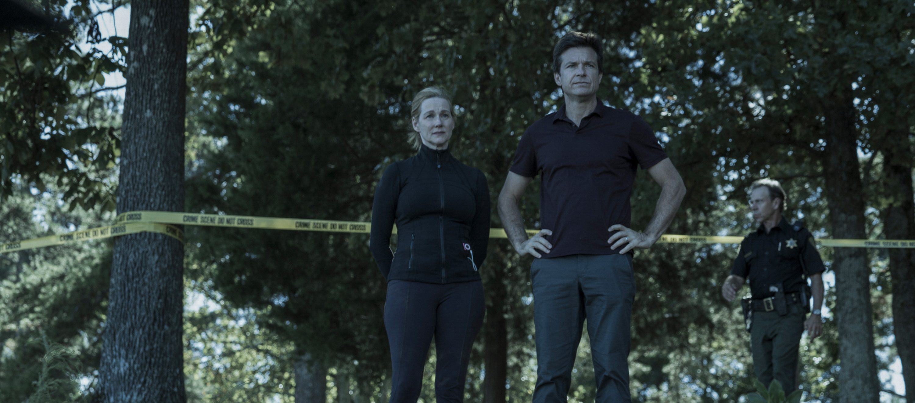 Ozark, Netflix, CineMedios