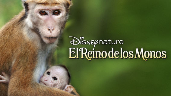 DISNEY EL REINO DE LOS MONOS.jpg