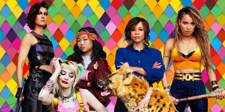 lo que debes saber antes de ver aves de presa curiosidades birds of prey
