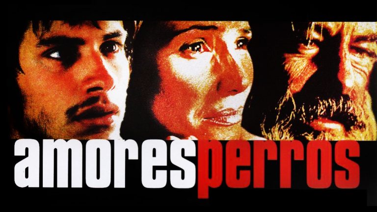 Banner de Amores perros