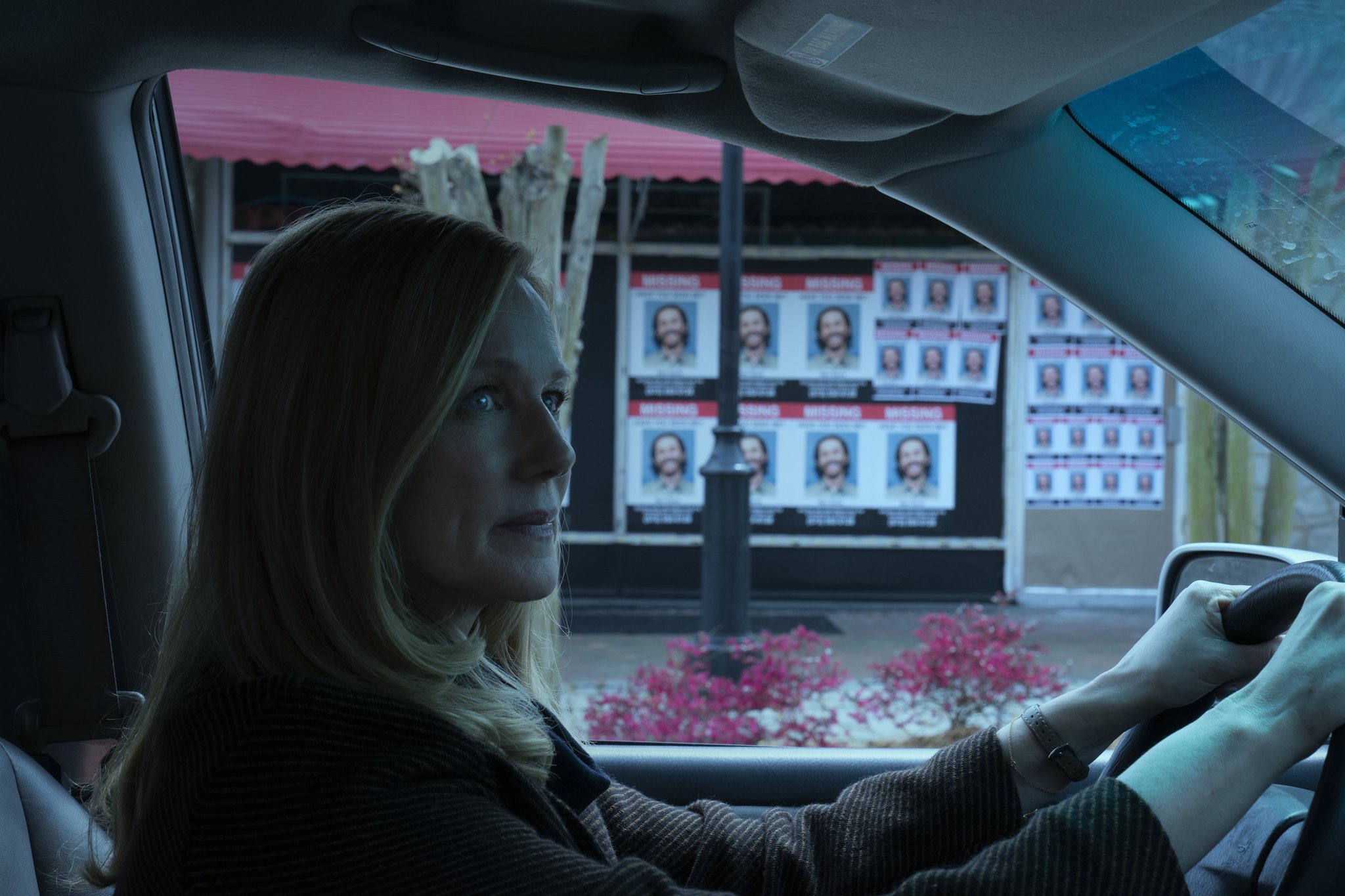 ozark3