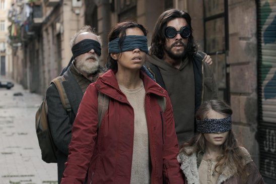 birdboxbarcelona (2)