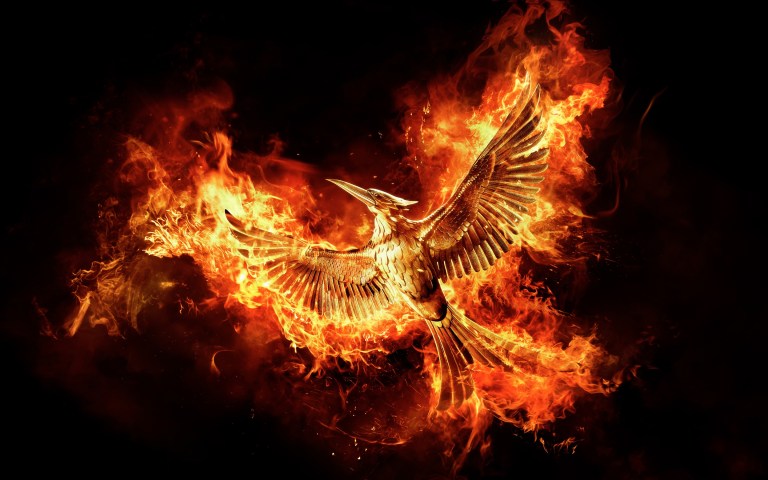 529219-the-hunger-games