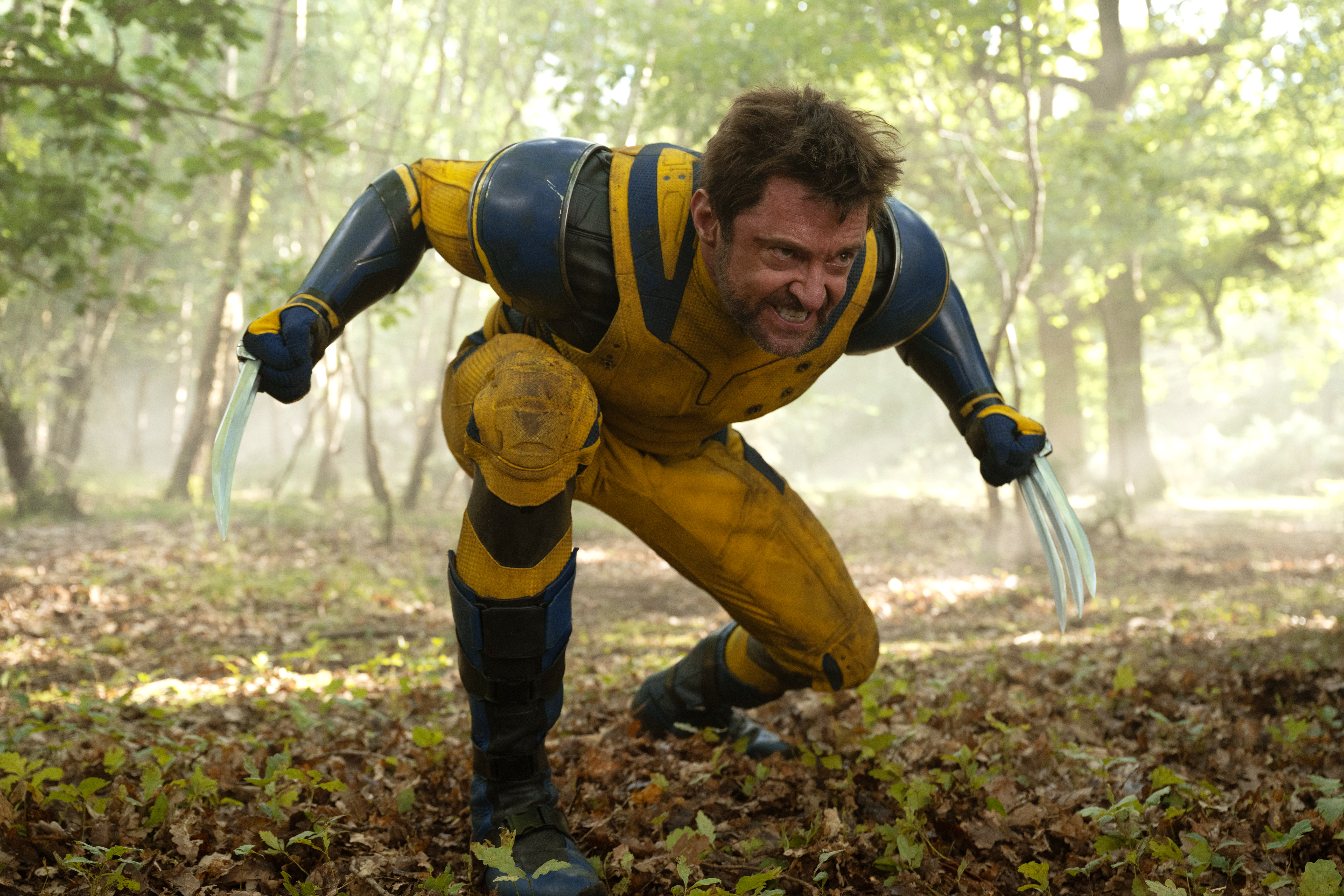 DEADPOOL & WOLVERINE