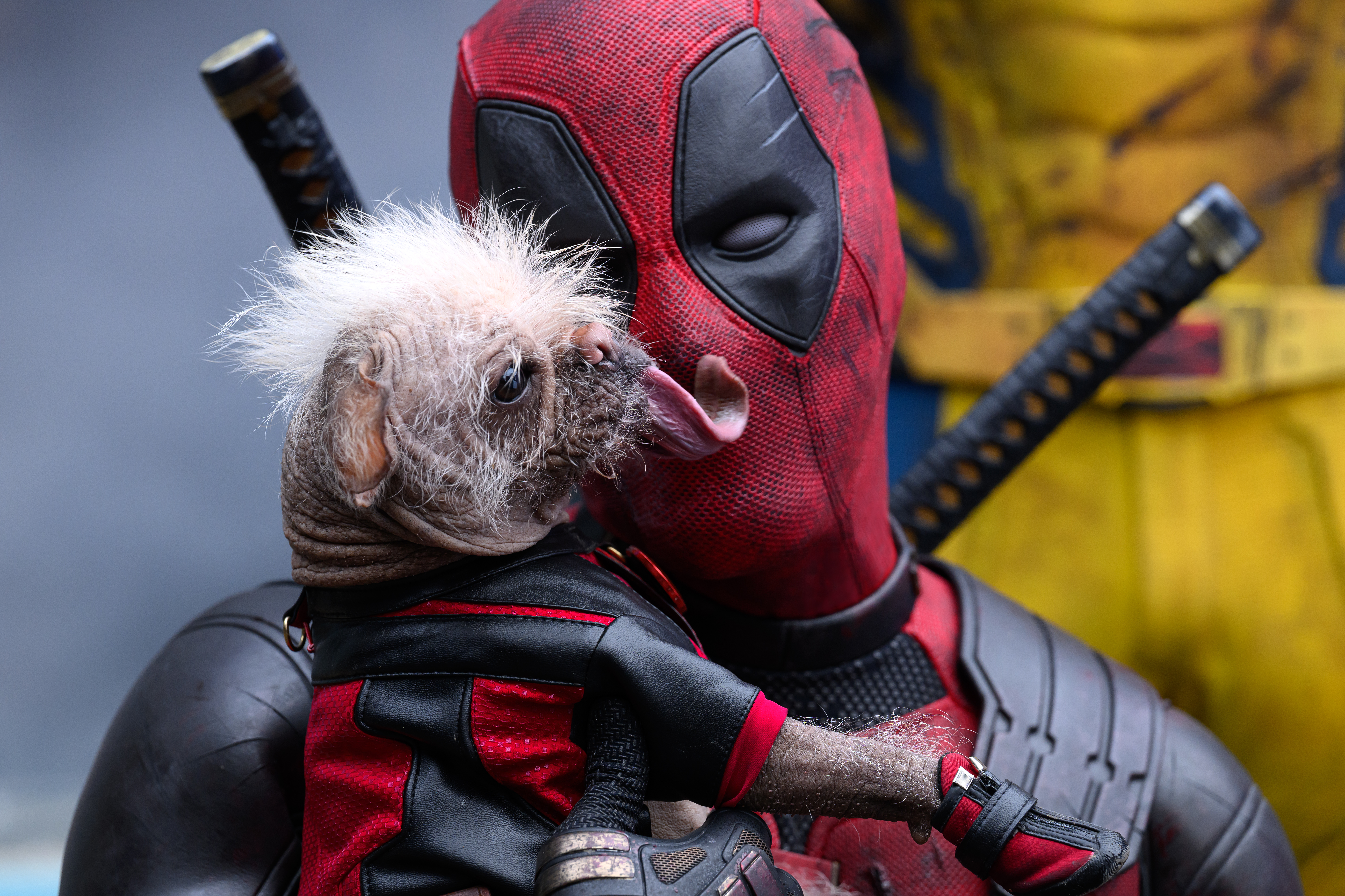 DEADPOOL & WOLVERINE