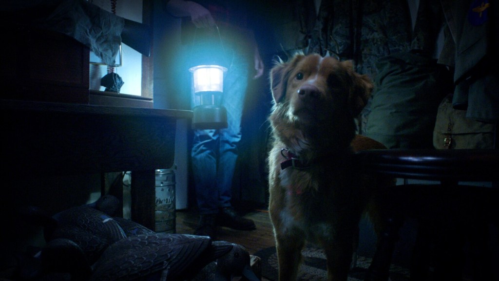 Good Boy-2